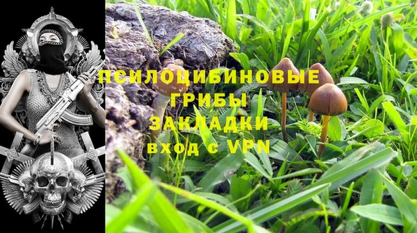 PSILOCYBIN Навашино