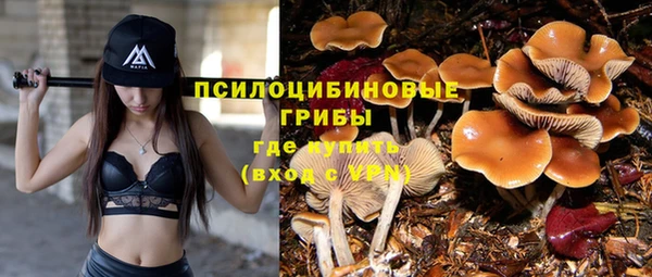 a pvp Надым