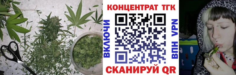 ТГК гашишное масло  кракен вход  Пушкино  где купить наркоту 
