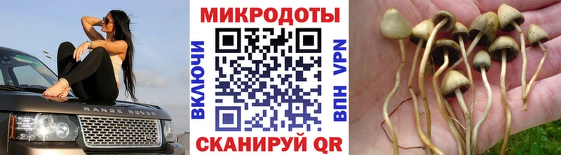 Псилоцибиновые грибы ЛСД  Пушкино 