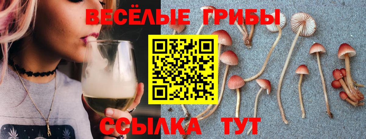 Пушкино  Псилоцибиновые грибы мицелий  Вход с VPN 