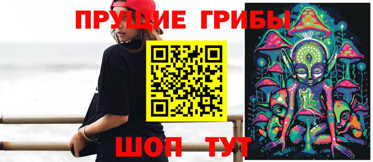 Псилоцибиновые грибы ЛСД Пушкино